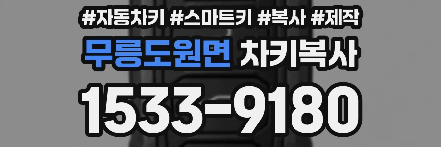 무릉도원면 차키복사