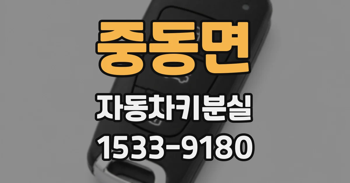 중동면 자동차키분실