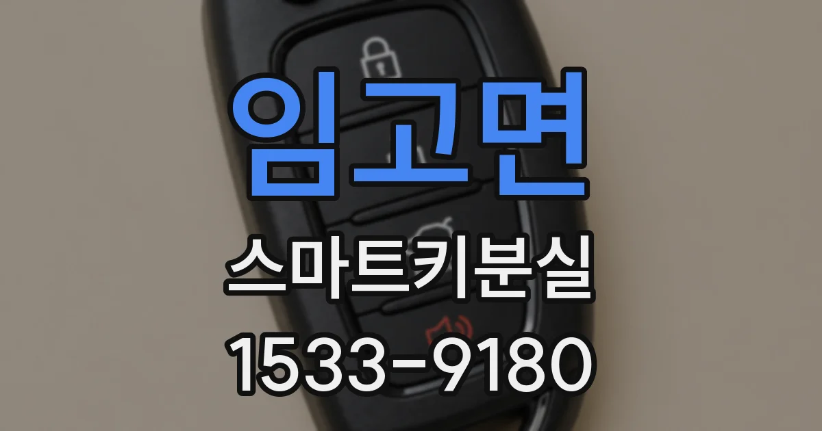 임고면 스마트키분실