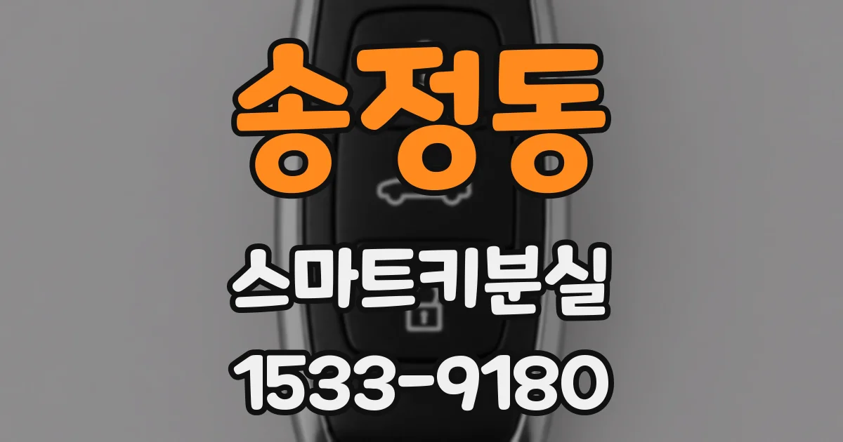 송정동 스마트키분실