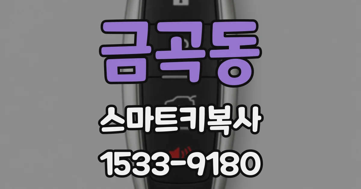 금곡동 스마트키복사