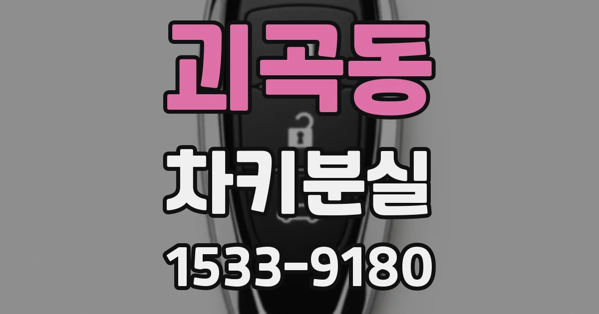 괴곡동 차키분실