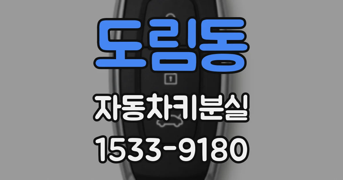 도림동 자동차키분실