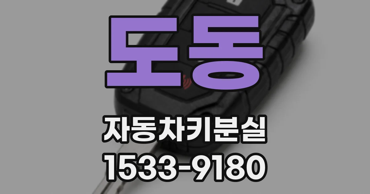 도동 자동차키분실