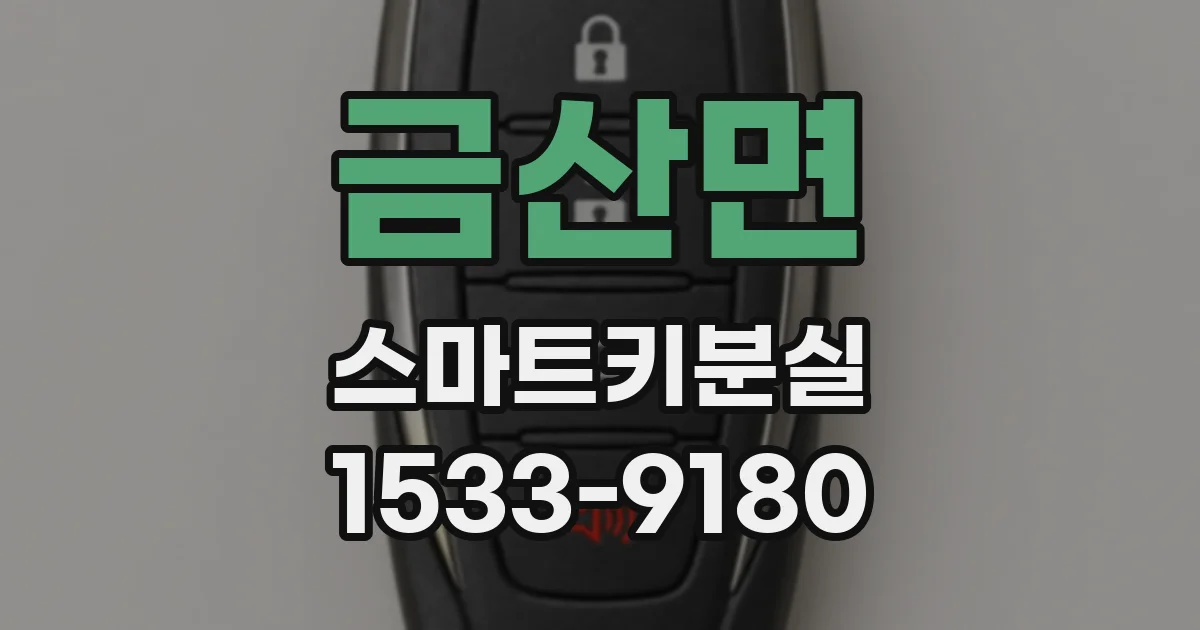 금산면 스마트키분실