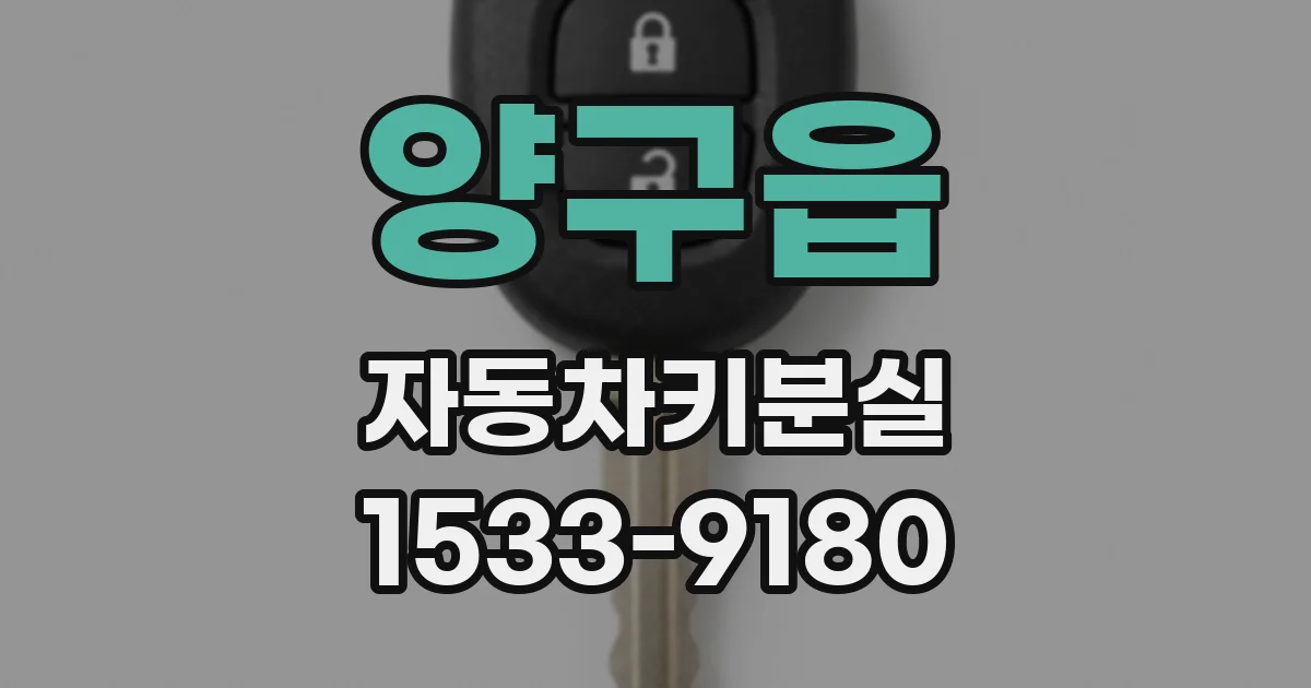 양구읍 자동차키분실