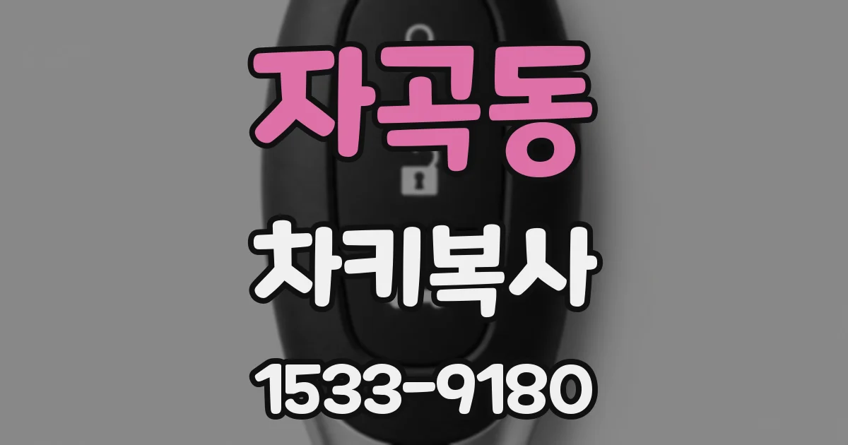 자곡동 차키복사