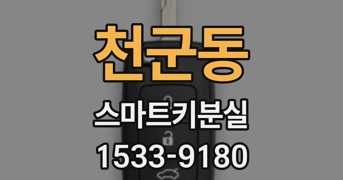천군동 스마트키분실