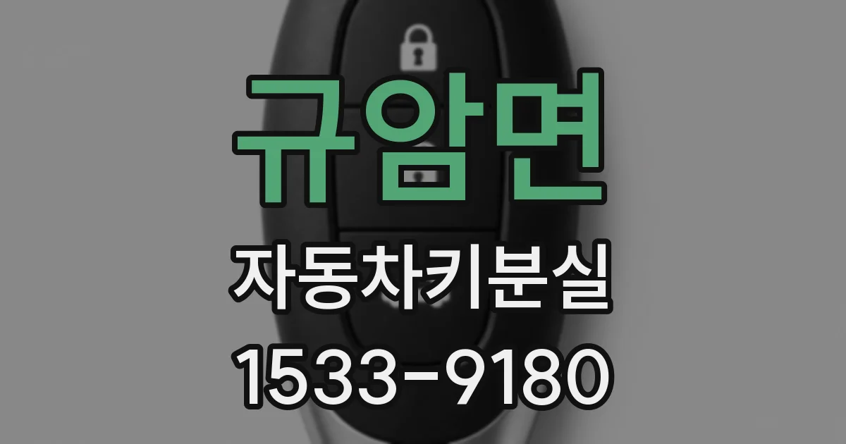 규암면 자동차키분실