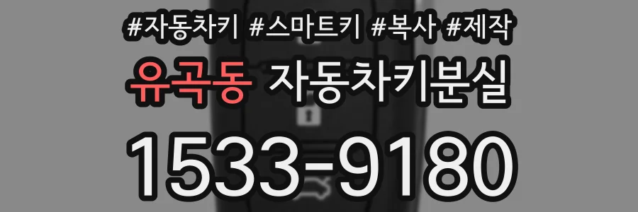 유곡동 자동차키분실