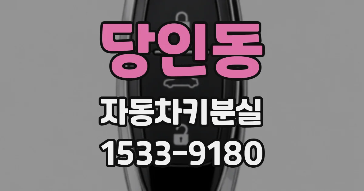 당인동 자동차키분실