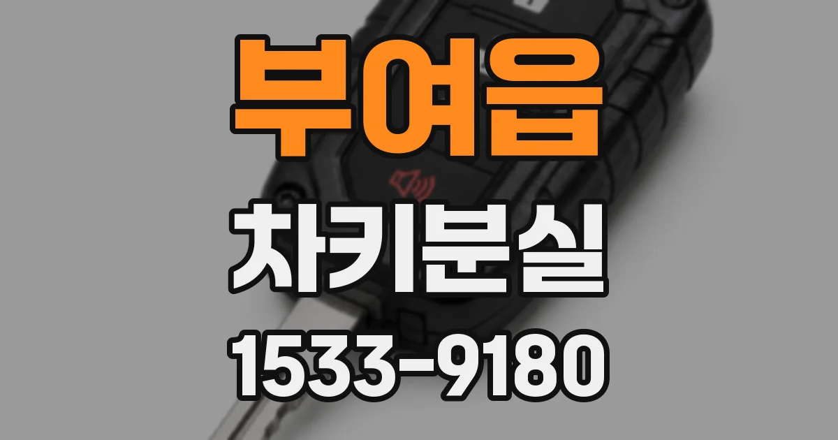 부여읍 차키분실