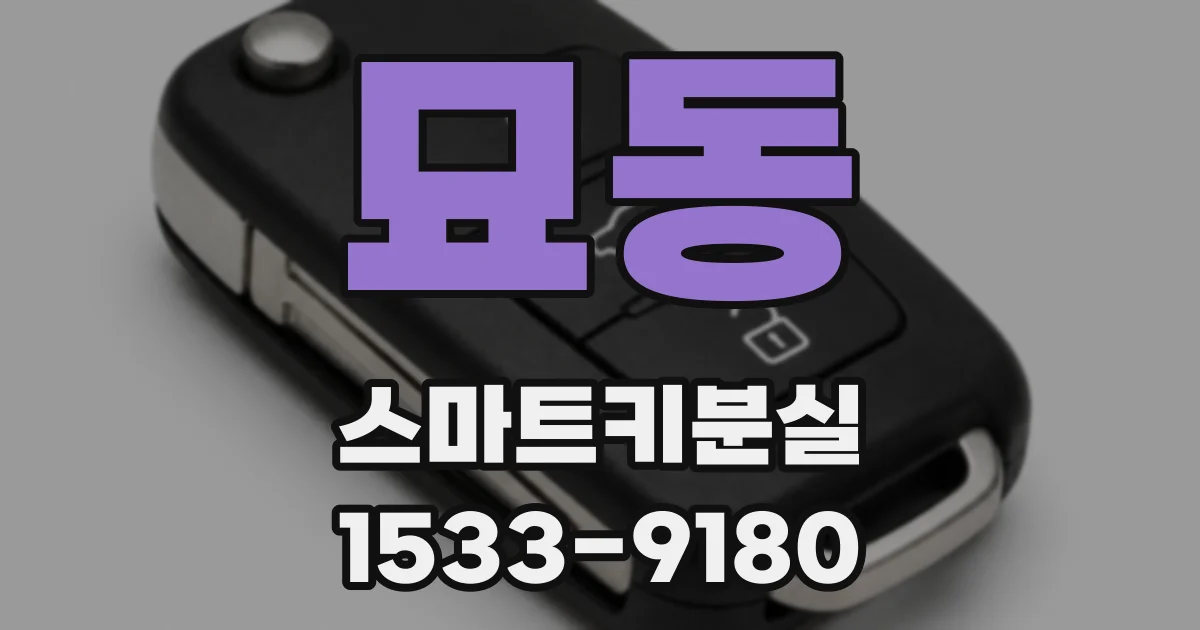 묘동 스마트키분실