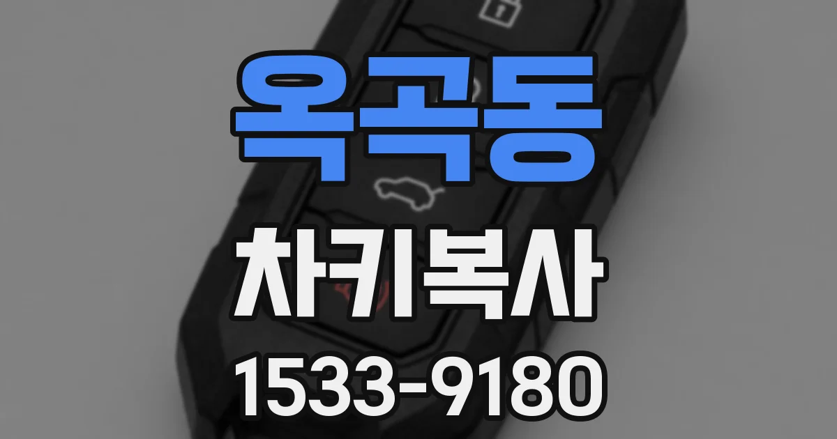 옥곡동 차키복사