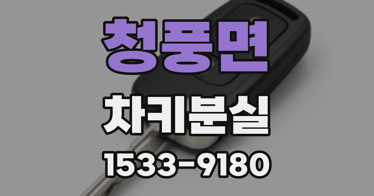 청풍면 차키분실
