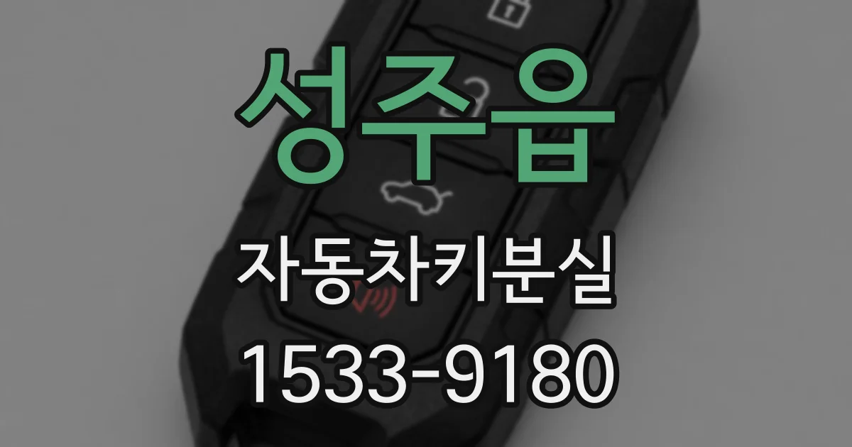 성주읍 자동차키분실