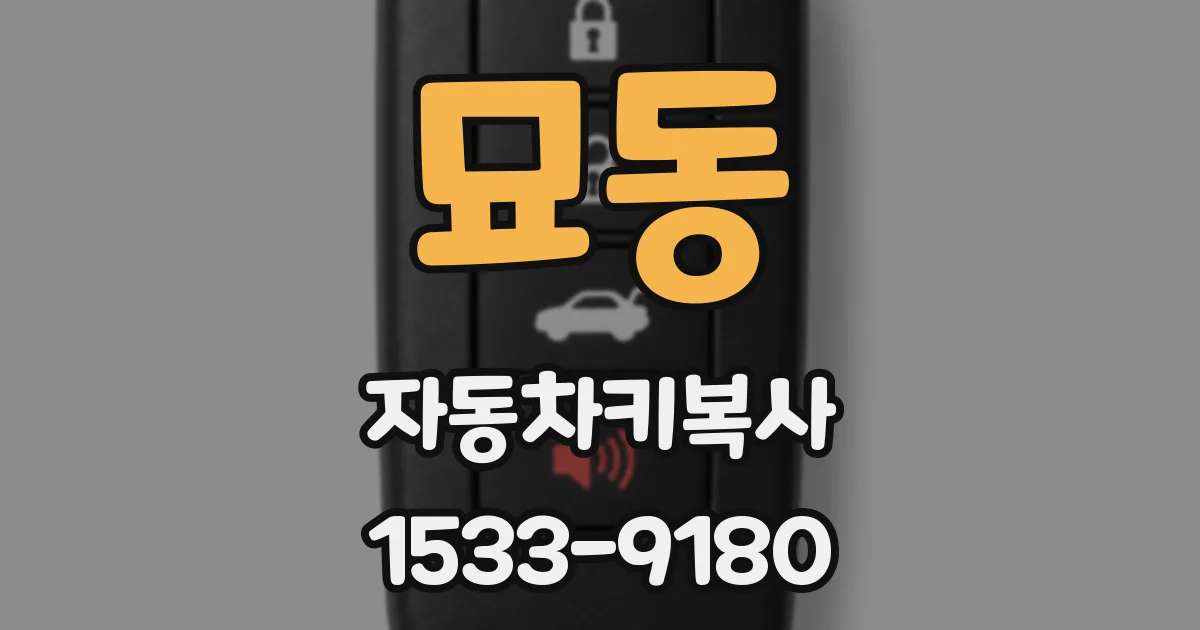 묘동 자동차키복사