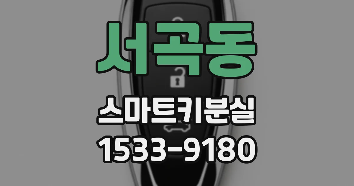 서곡동 스마트키분실