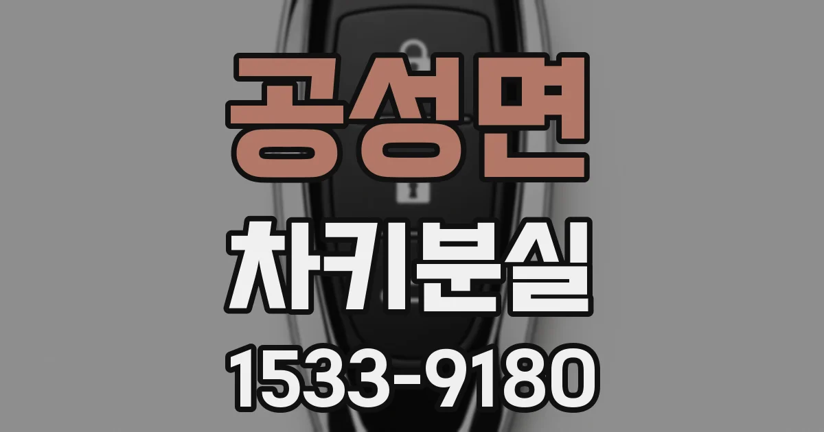 공성면 차키분실
