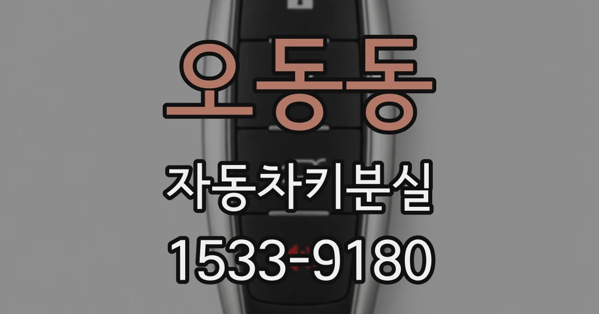 오동동 자동차키분실