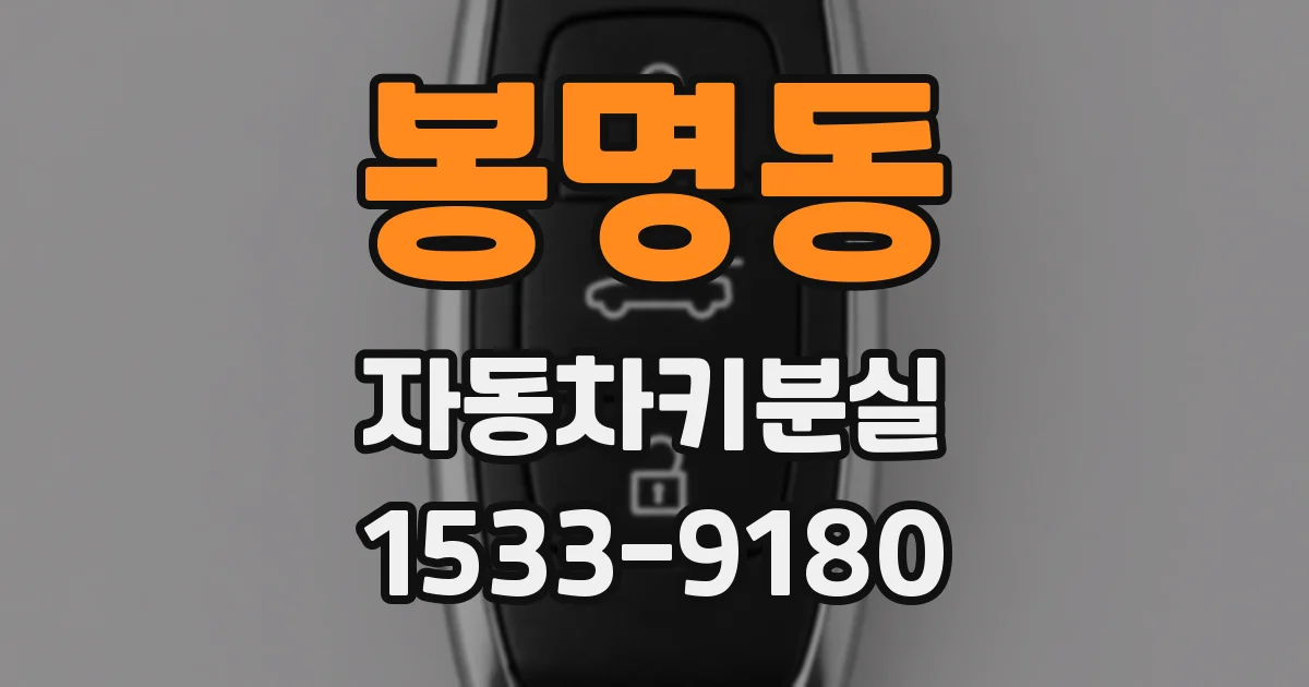 봉명동 자동차키분실