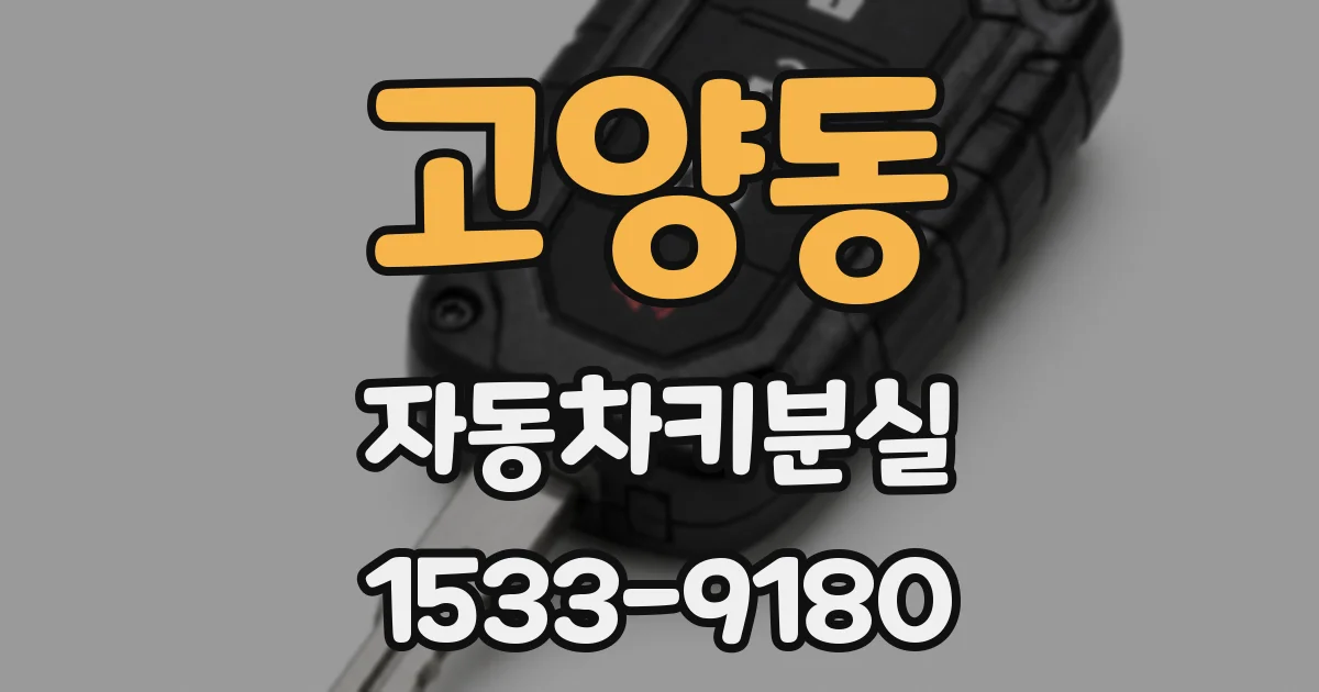 고양동 자동차키분실