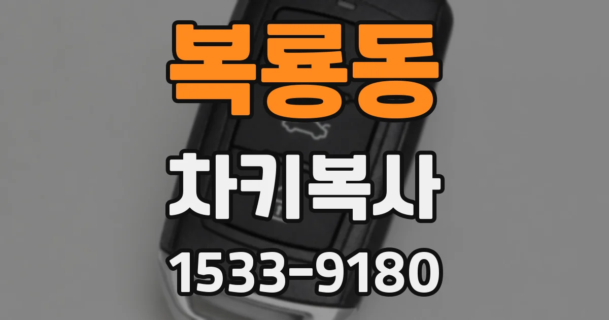 복룡동 차키복사