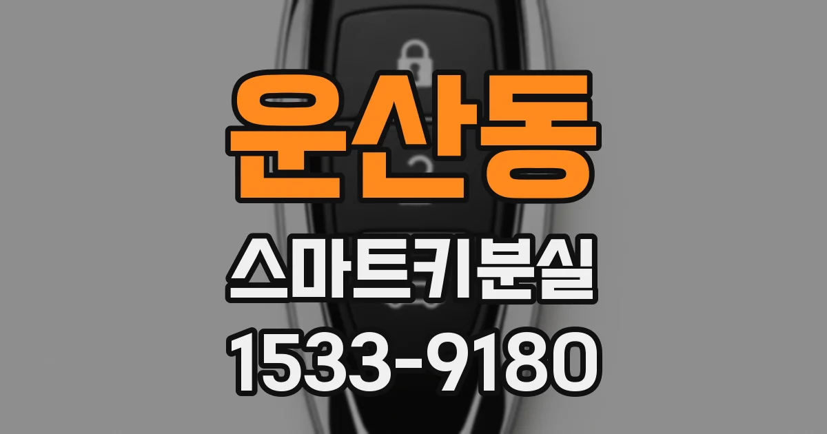 운산동 스마트키분실