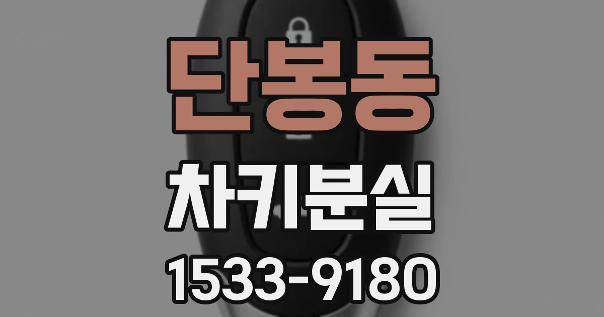 단봉동 차키분실