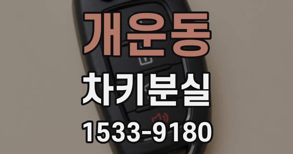 개운동 차키분실