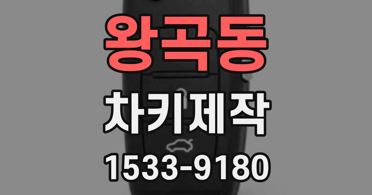 왕곡동 차키제작