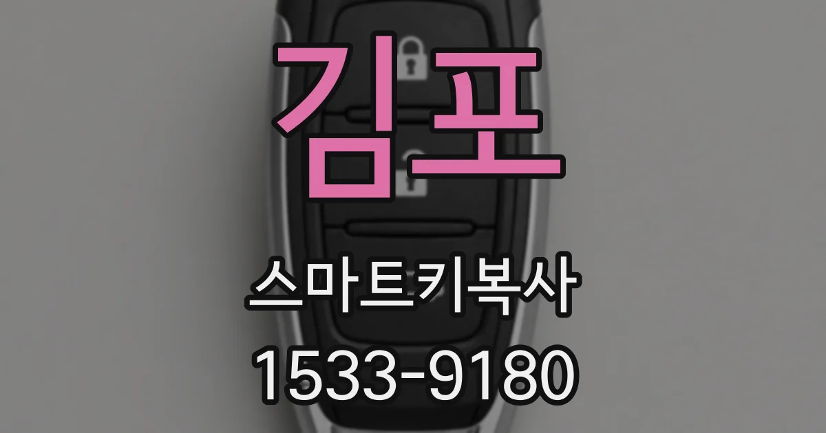김포 스마트키복사