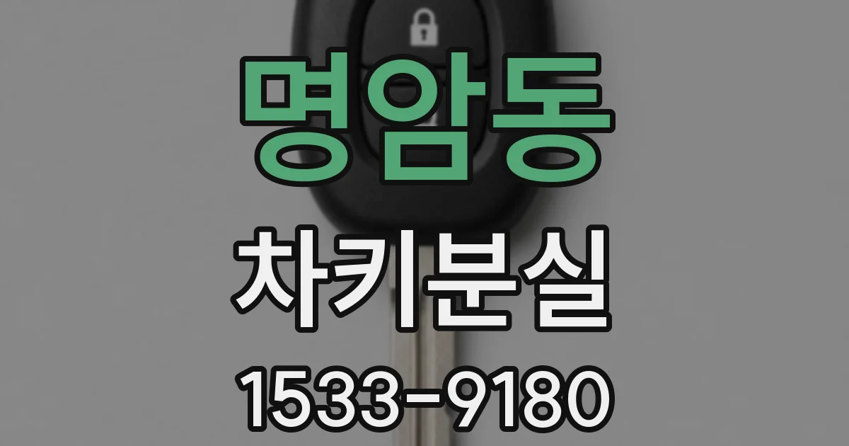 명암동 차키분실