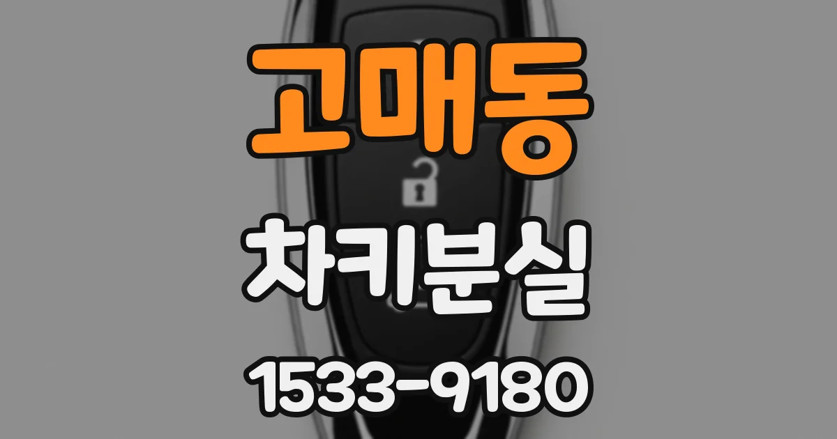 고매동 차키분실