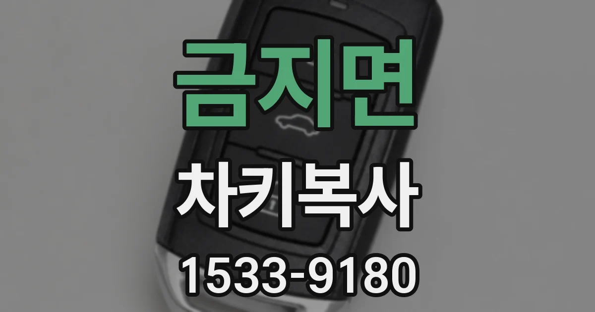 금지면 차키복사