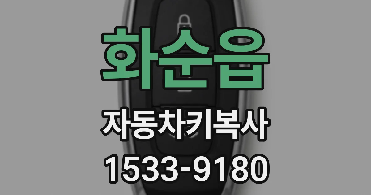 화순읍 자동차키복사