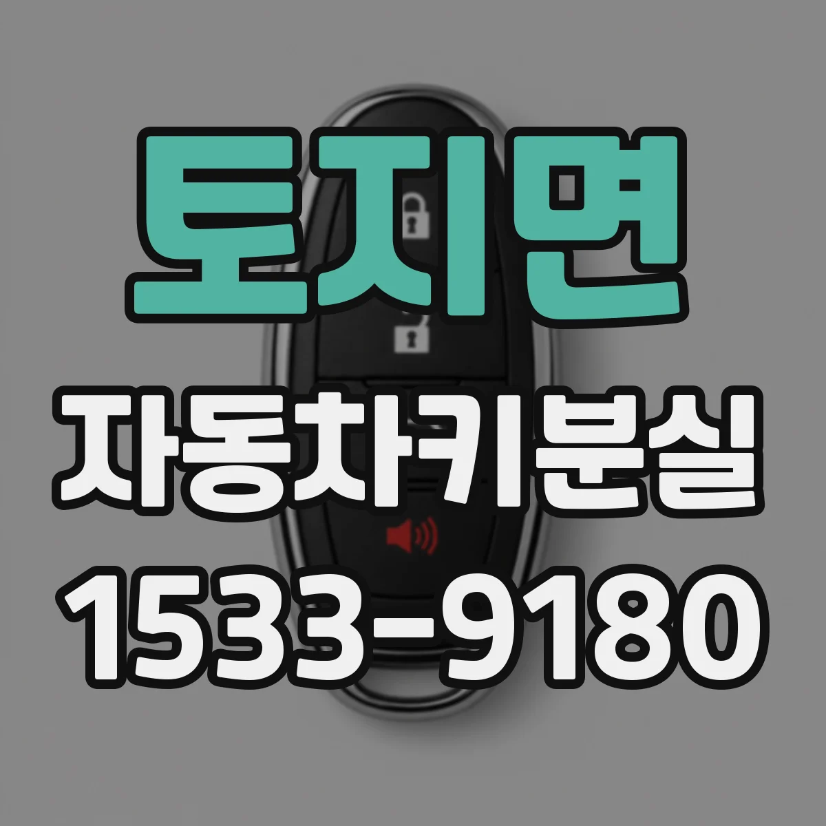 토지면 자동차키분실