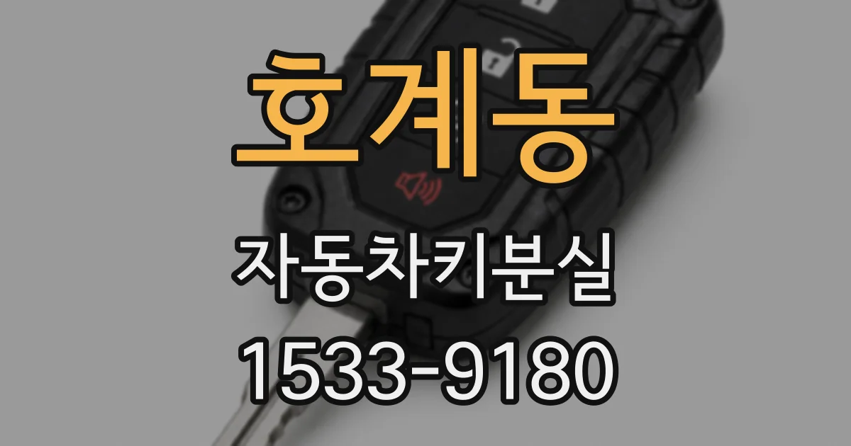 호계동 자동차키분실