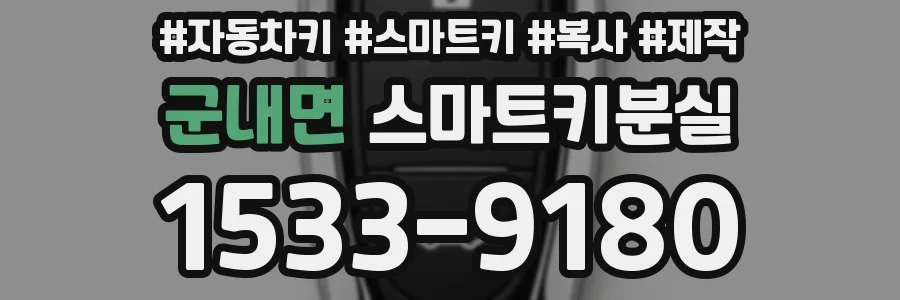 군내면 스마트키분실