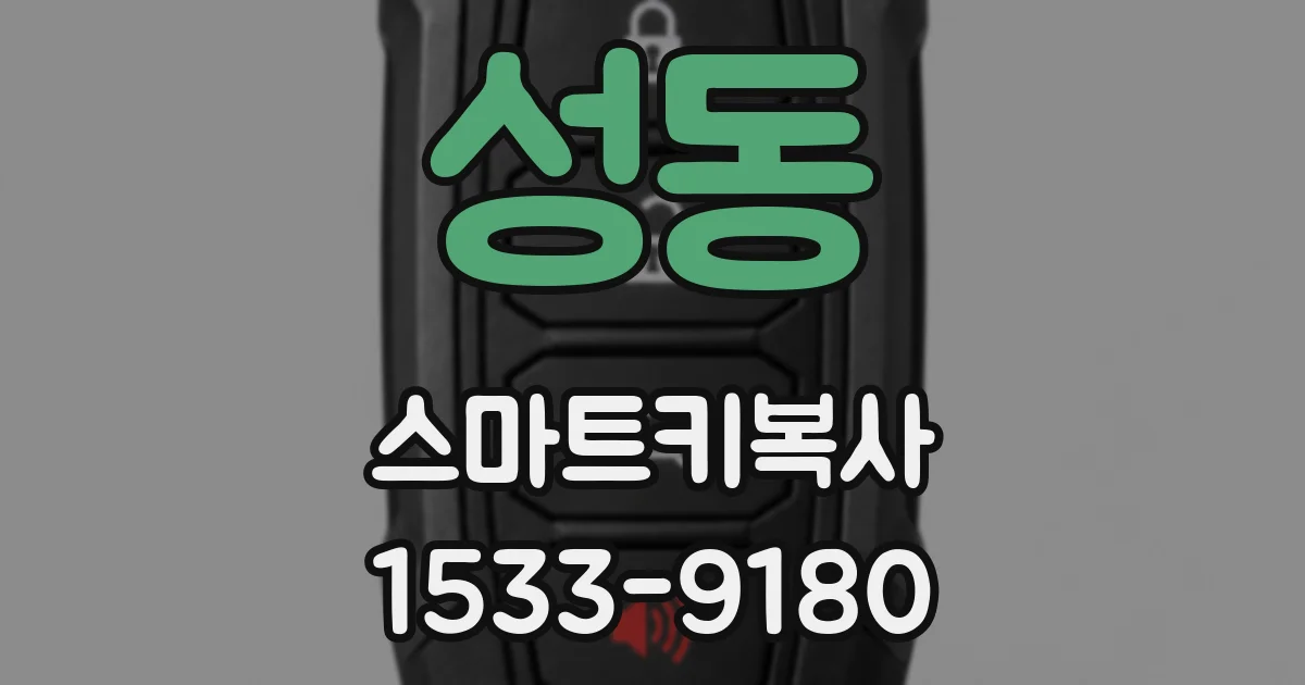 성동 스마트키복사