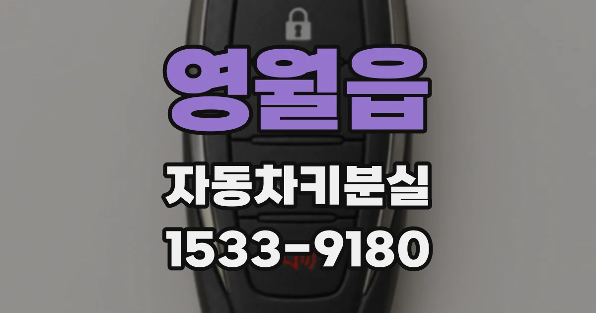 영월읍 자동차키분실