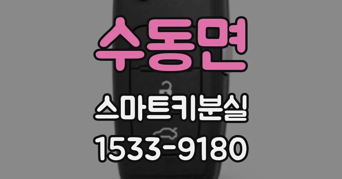 수동면 스마트키분실