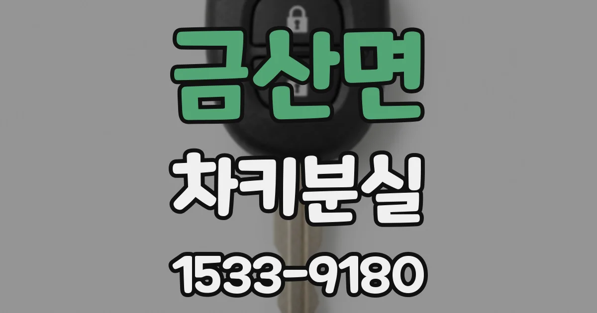 금산면 차키분실