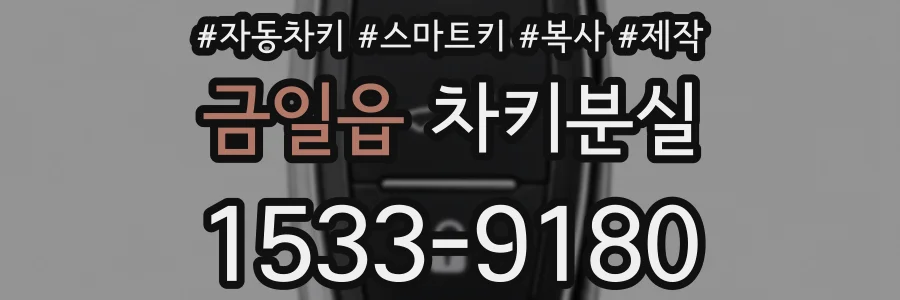 금일읍 차키분실
