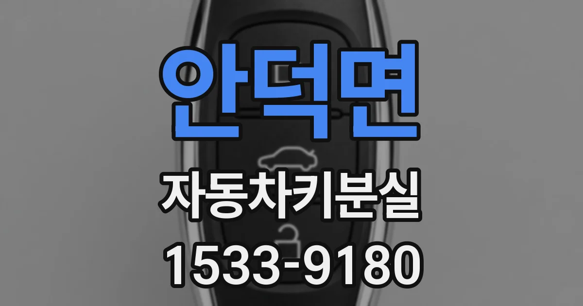 안덕면 자동차키분실