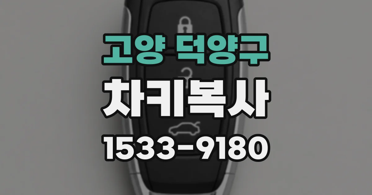 고양 덕양구 차키복사