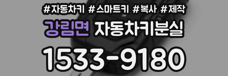 강림면 자동차키분실
