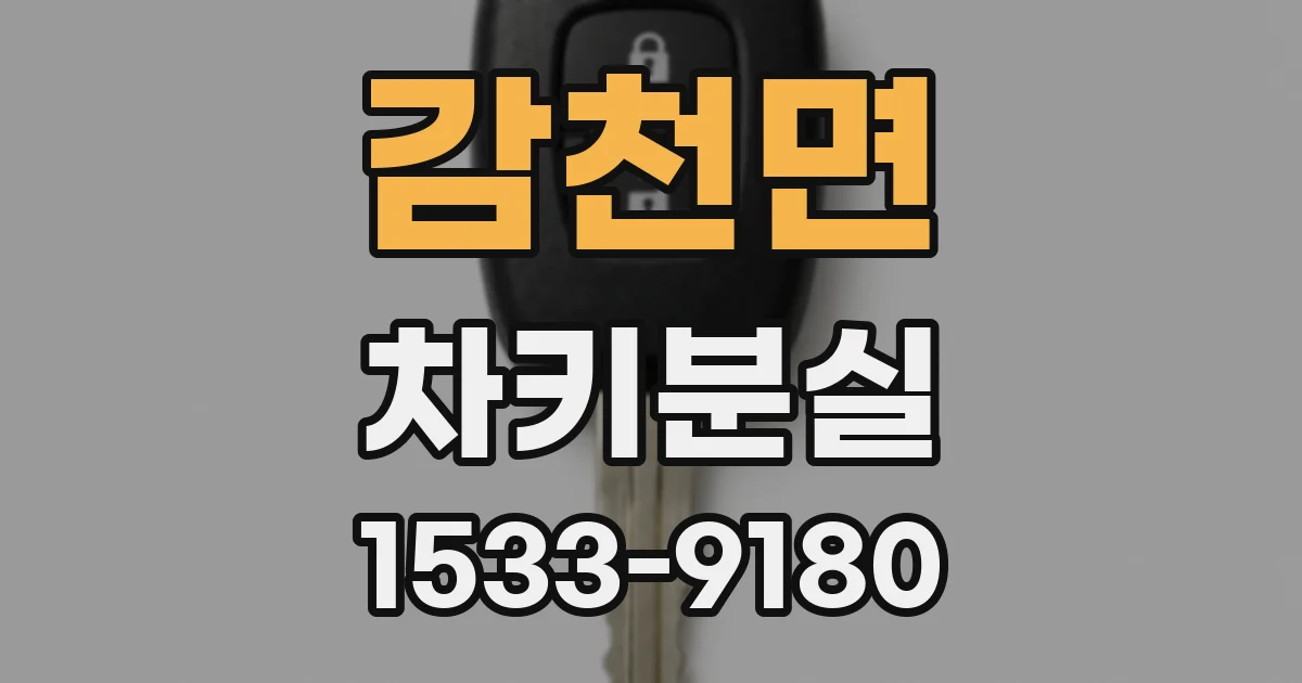감천면 차키분실