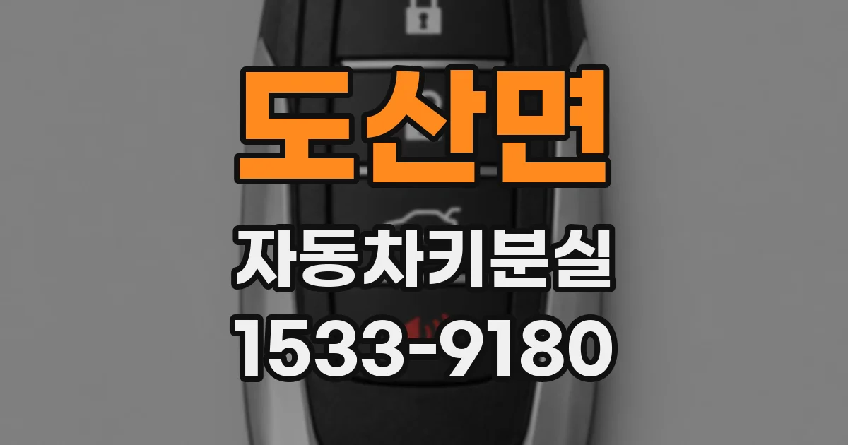 도산면 자동차키분실