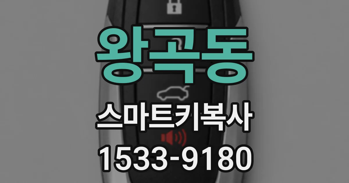 왕곡동 스마트키복사